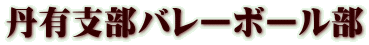 丹有支部バレーボール部