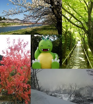 校長ブログ写真