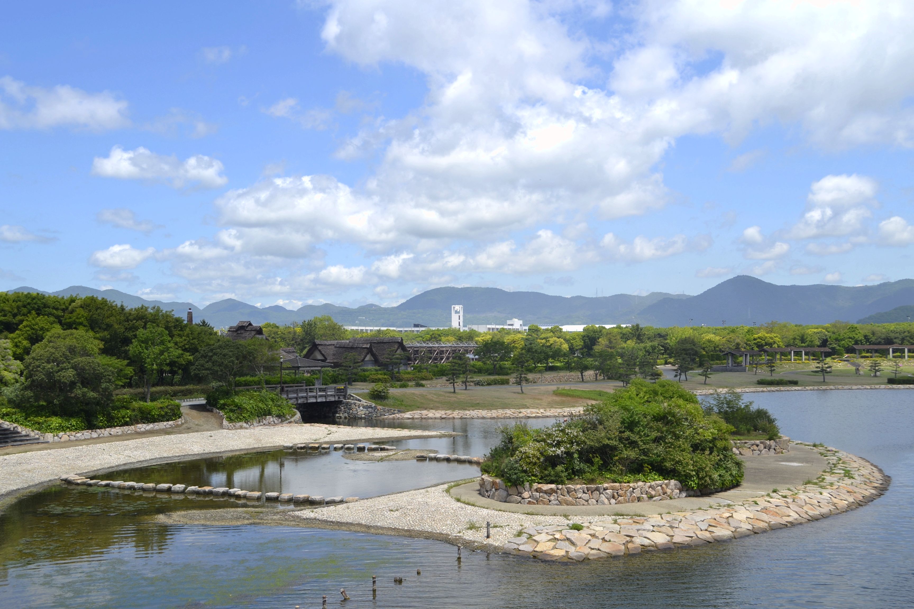 海浜公園より望む校舎