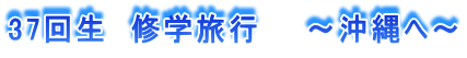 37񐶁@Cws@@`ց`
