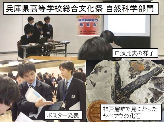 兵庫県総合文化祭 自然科学部門 口頭発表