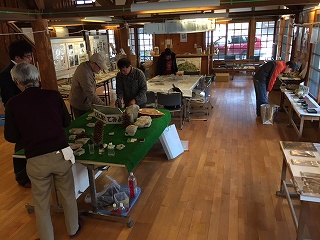 化石展示