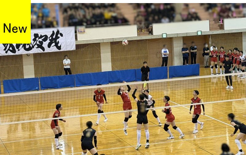 blog