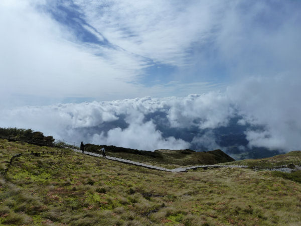 雲海