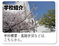 学校概要
