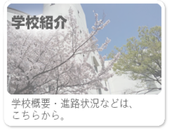 学校概要