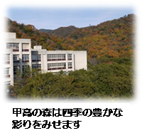 甲高の森は四季の豊かな彩りをみせます。