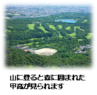 山に登ると森に囲まれた甲高が見られます。