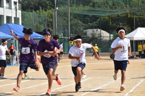 第45回体育大会の写真3