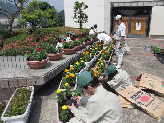 花を植えている様子