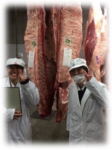 肉牛研究会 - 兵庫県立農業高等学校 肉牛研究会 - 兵庫県立農業高等学校