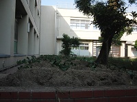 photo0520_1