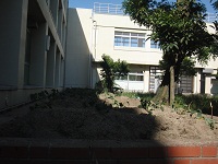 photo0521_1