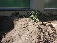 photo0521_3