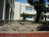 photo0522_1