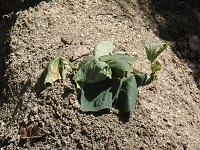 photo0522_2
