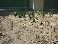 photo0522_3
