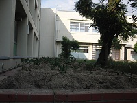 photo0525_1