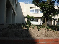 photo0526_1
