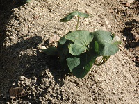 photo0526_2