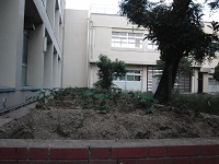 photo0527_1