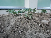 photo0527_3