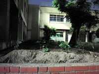 photo0528_1
