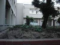 photo0601_1
