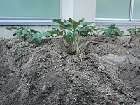 photo0601_3
