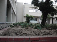photo0602_1