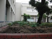 photo0603_1