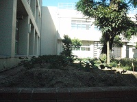photo0604_1