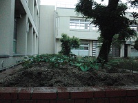 photo0605_1