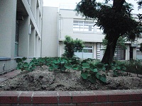 photo0608_1