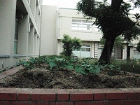 photo0609_1