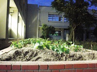 photo0610_1