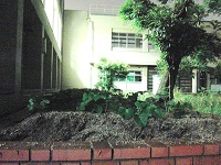 photo0611_1