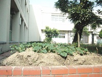 photo0612_1