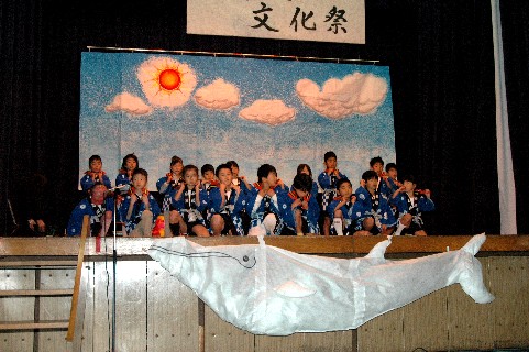 @炮