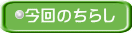 今回のちらし 