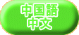 中国語 中文