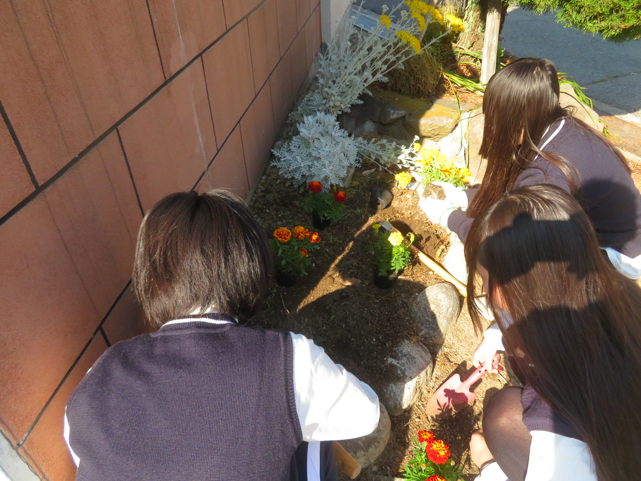 生物園芸部