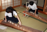 koto.jpg