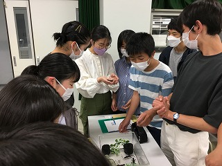 人文・数理探究類型の活動写真