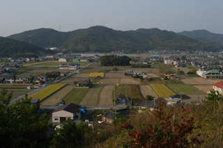 鵤荘故地　太子町平方の条里地割（2006年10月14日）