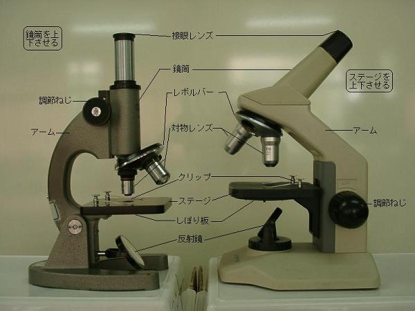 3章４顕微鏡種類構造操作