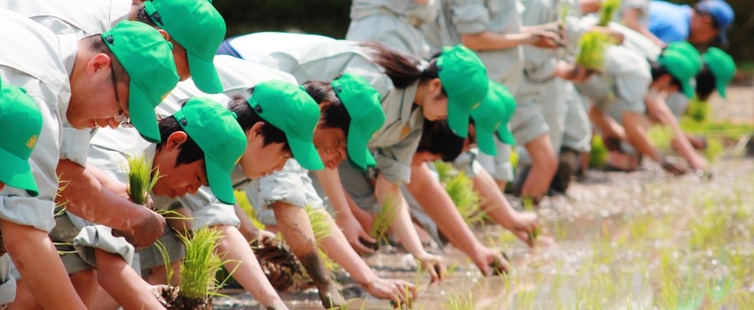 篠山東雲高等学校その他画像