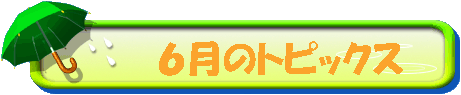 6̐V{Z