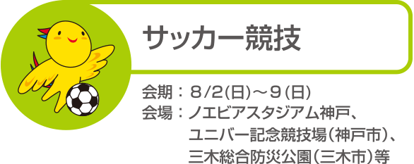 サッカー競技