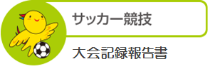 サッカー競技大会記録報告書